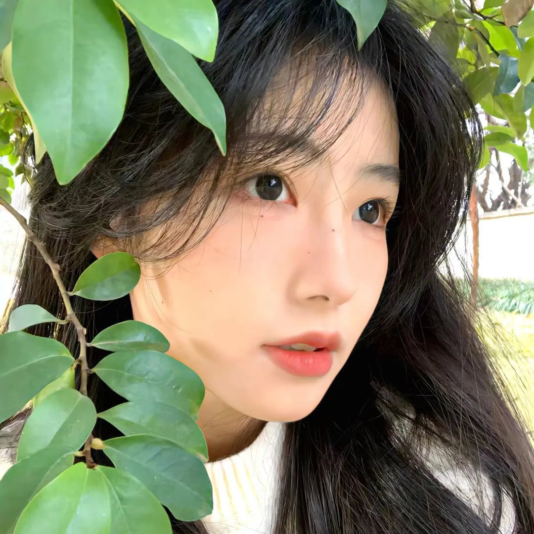 十月初五的月光粤语