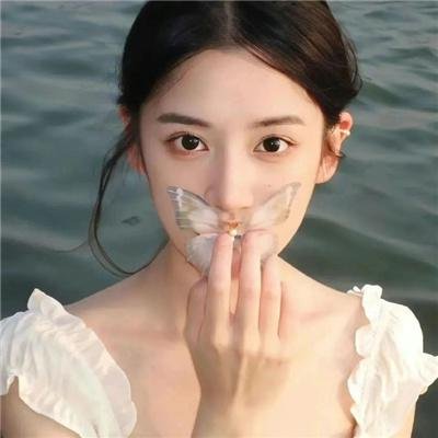 满目皆琳琅